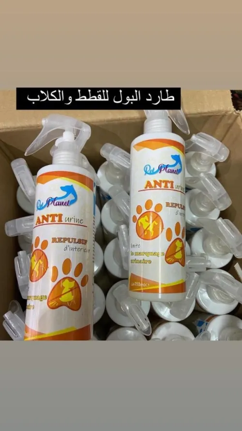 Accessoires pour chats 