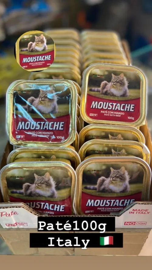 Accessoires pour chats 