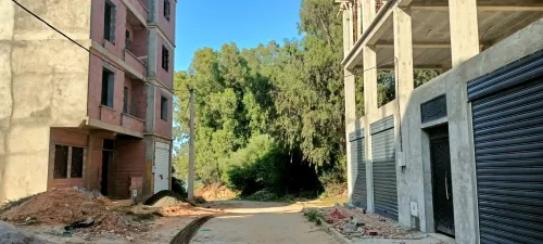 Vente Terrain Jijel Jijel