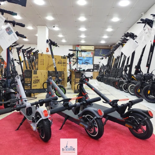 Trottinette Électrique Trotinette G-SCOOTER S5 PRO i Prix Choc!
