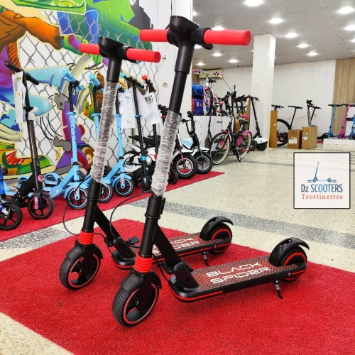 Trottinette Électrique Trotinette ACE GOKIDO 6 i Prix CHOC! Sous Emballage