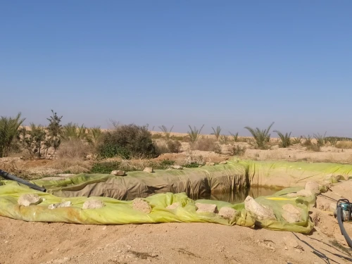 Vente Terrain Agricole Biskra Lioua