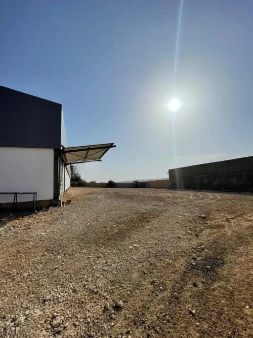 Location Hangar - Usine Oran Es senia
