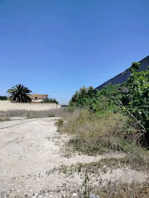 Vente Hangar - Usine Oran Es senia
