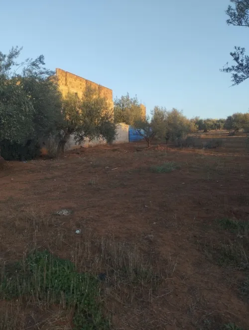Vente Terrain Béjaïa Ait rzine