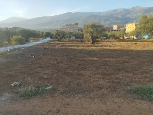 Vente Terrain Béjaïa Ait rzine