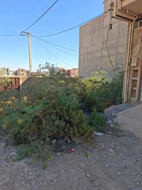 Vente Terrain Oran Bir el djir