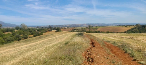 Vente Terrain Agricole Tipaza Meurad