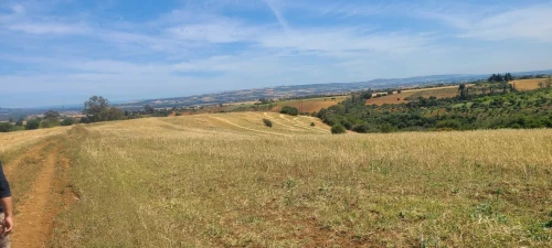 Vente Terrain Agricole Tipaza Meurad