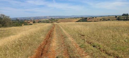 Vente Terrain Agricole Tipaza Meurad