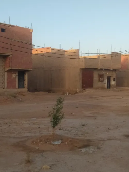 Vente Terrain Béchar Bechar