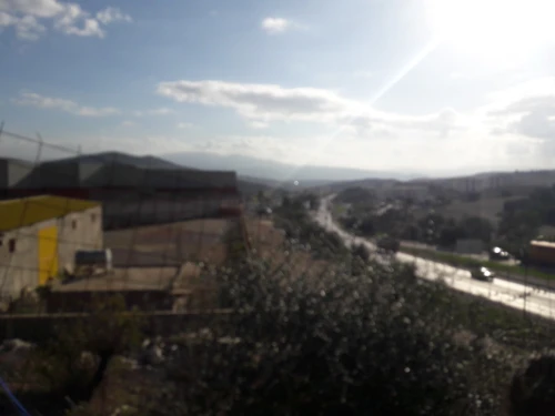 Vente Hangar Guelma Guellat bou dbaa
