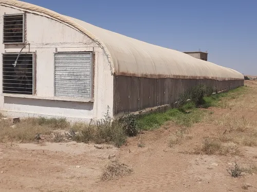 Vente Terrain Agricole Djelfa Benhar