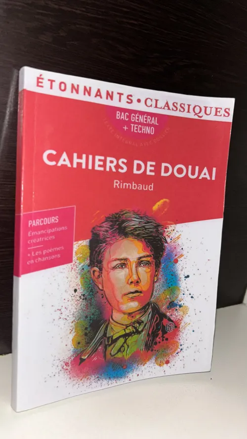 Livre bac français