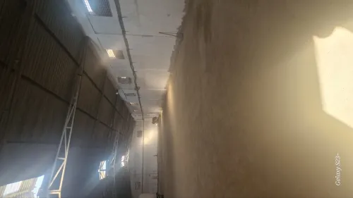 Location Hangar - Usine Alger Les eucalyptus