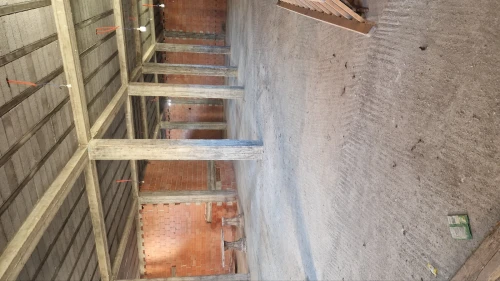 Location Hangar - Usine Alger Les eucalyptus