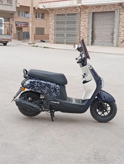 Vms Cuxi 1 2025