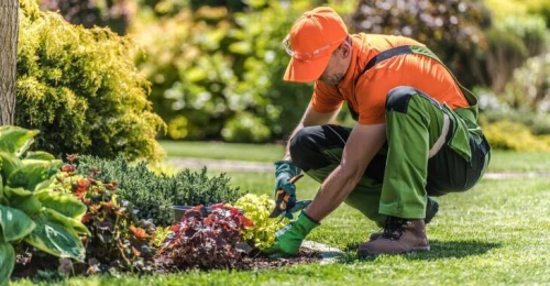 Société de jardinage, Entreprise de nettoyage & d'entretien, Servise de ponçage, lustrage, vitrage..