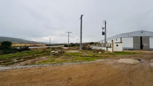 Vente Hangar - Usine Guelma Ain ben beida