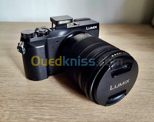 Lumix gx80 14k clicks