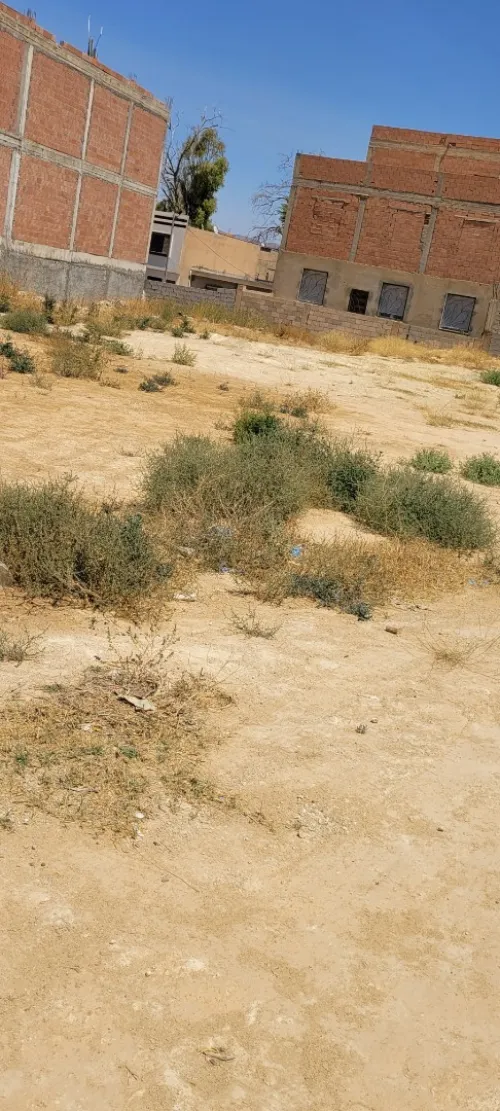 Vente Terrain Tlemcen Tlemcen