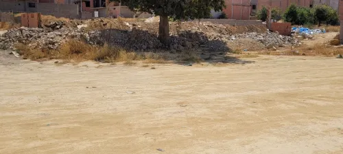 Vente Terrain Tlemcen Tlemcen