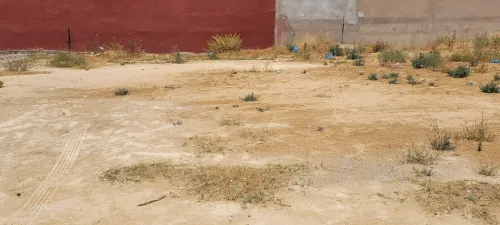 Vente Terrain Tlemcen Tlemcen