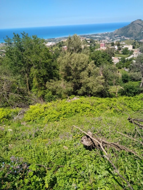Vente Terrain Béjaïa Souk el thenine