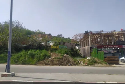 Vente Terrain Annaba Annaba