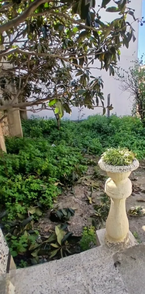 Vente Villa Annaba Annaba