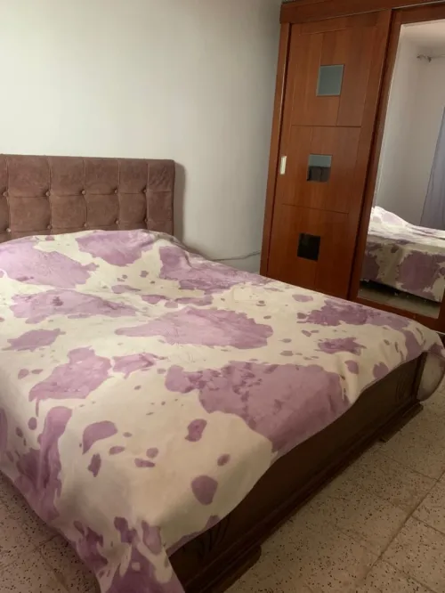 Location Appartement F3 Annaba Annaba