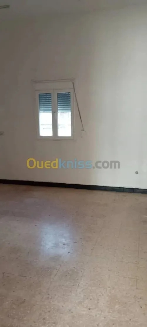 Location Local Annaba Annaba