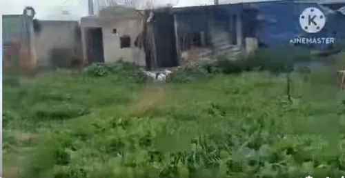 Vente Terrain Agricole Annaba Annaba