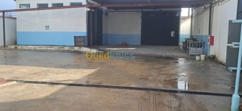 Vente Hangar - Usine Annaba Ain berda