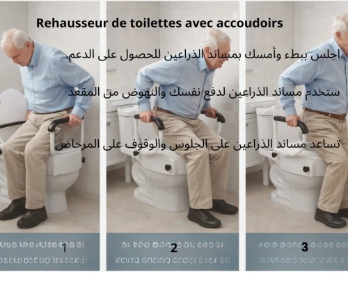 Rehausseur de toilettes avec accoudoirs