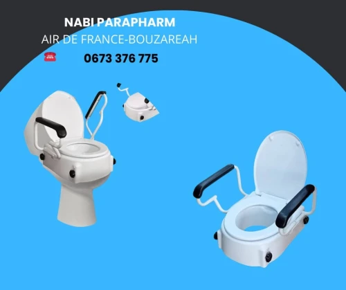 Rehausseur de toilettes avec accoudoirs