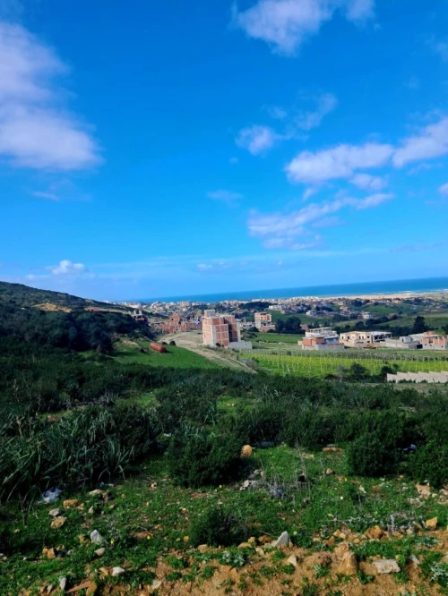 Vente Terrain Boumerdès Zemmouri