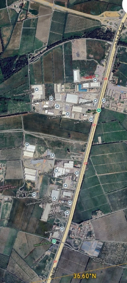 Vente Terrain Alger Tessala el merdja