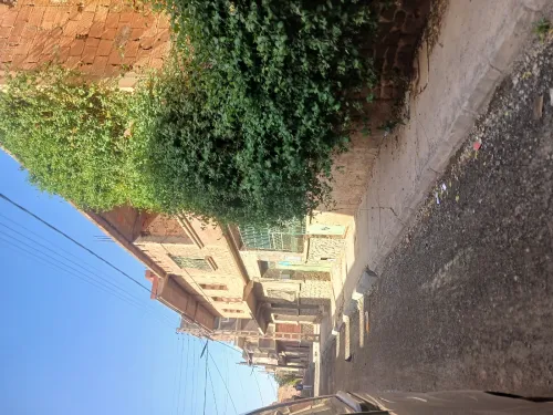 Vente Villa Sidi Bel Abbès Sidi lahcene