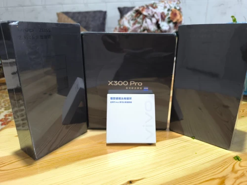 Vivo X300 pro
