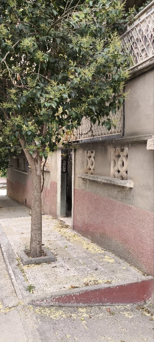 Vente bien immobilier Sétif Setif 11