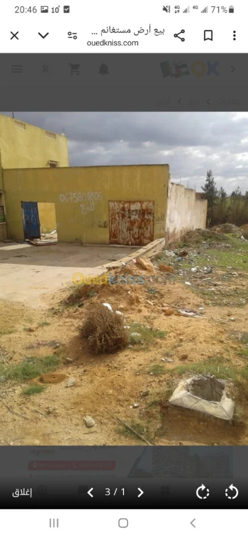 Vente Terrain Mostaganem Kheireddine
