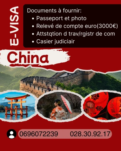 Visa China Sticker