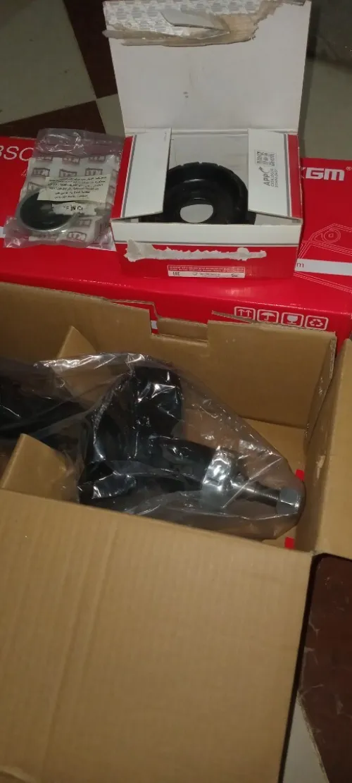 Amortisseur et tasau clio1