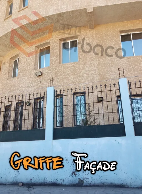 Revetement Façade Griffé
