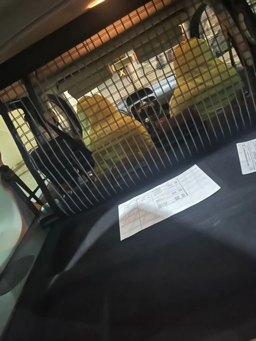 Renault Kangoo 2019 Privilège +