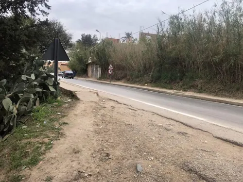 Vente Terrain Aïn Defla Miliana