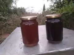 عسل حر 
