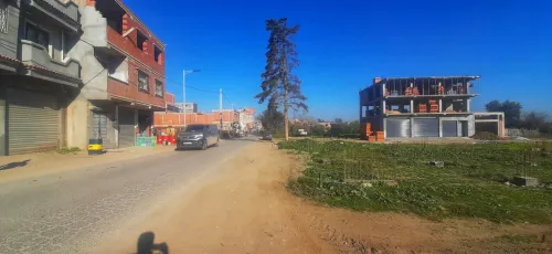 Vente Terrain Blida Boufarik