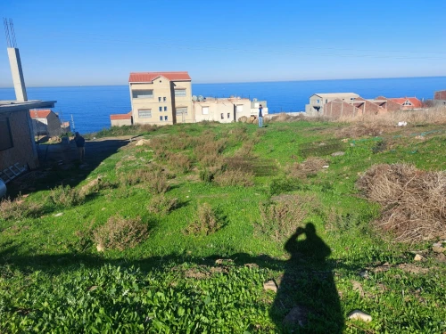 Vente Terrain Béjaïa Toudja